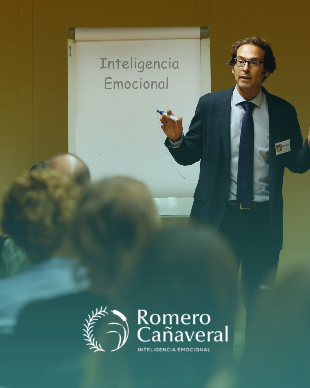 programa de inteligencia emocional presencial de joaquín romero cañaveral en sevilla